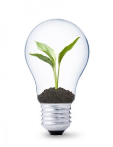green energy concept, lightbulb with plant growing inside