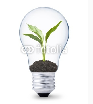 Sustentabilidade-Lampada