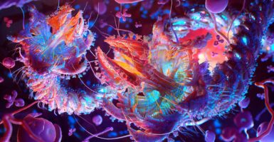 ZBrush: Visualização biomédica levada a novas alturas