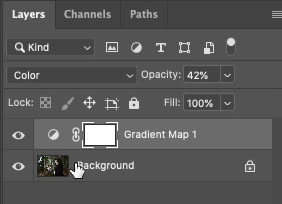 Clasificación de fotos con mapas de gradiente en Photoshop