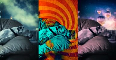 Como usar o novo aplicativo de câmera do Photoshop