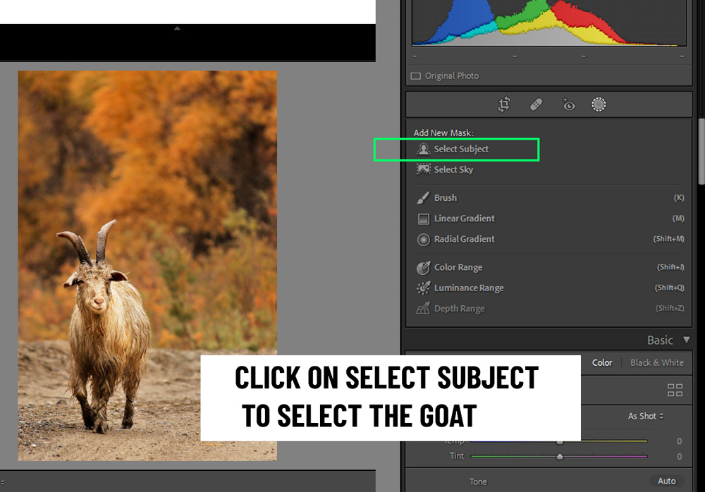 Interface do Lightroom mostrando novas ferramentas de mascaramento em destaque