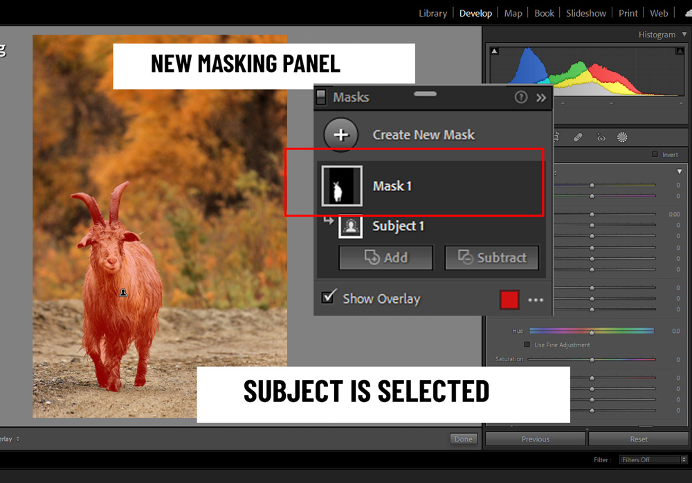 Interface do Lightroom mostrando novas ferramentas de mascaramento em ação