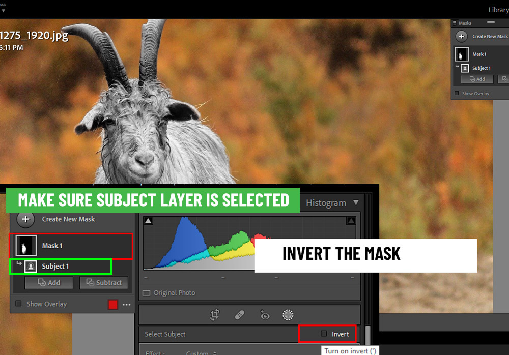 Interface do Lightroom mostrando novas ferramentas de mascaramento em destaque
