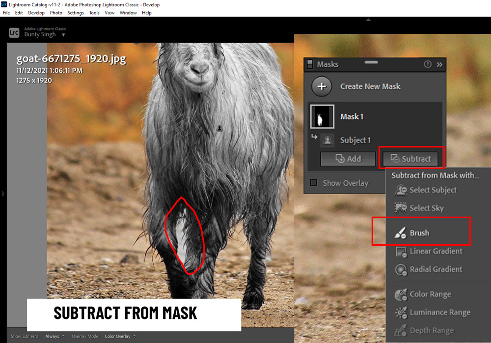 Interface do Lightroom mostrando novas ferramentas de mascaramento em uso