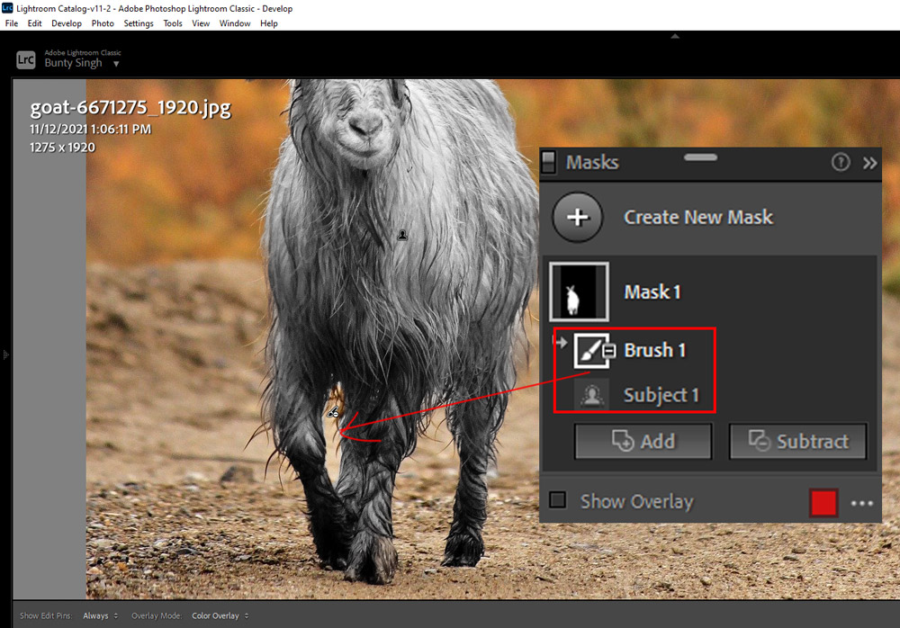 Demonstração das novas ferramentas de mascaramento do Lightroom em uso