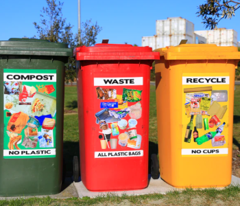 reciclando